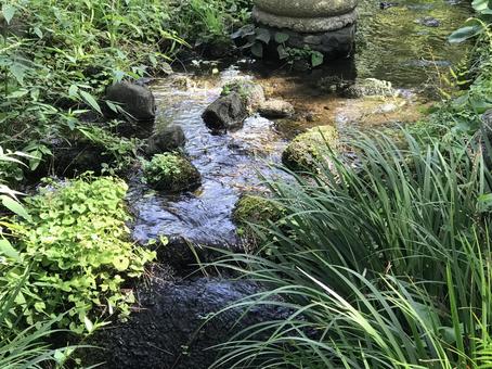 庭園 庭園の写真