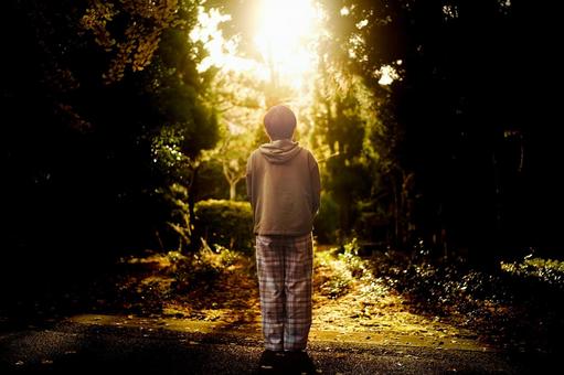 ＜素材＞夕暮れの森の中を散策する女性 女性,サンセット,夕方の写真素材