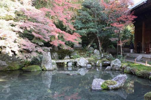 洛北蓮華寺　庭園 蓮華寺,洛北,帰命山の写真素材
