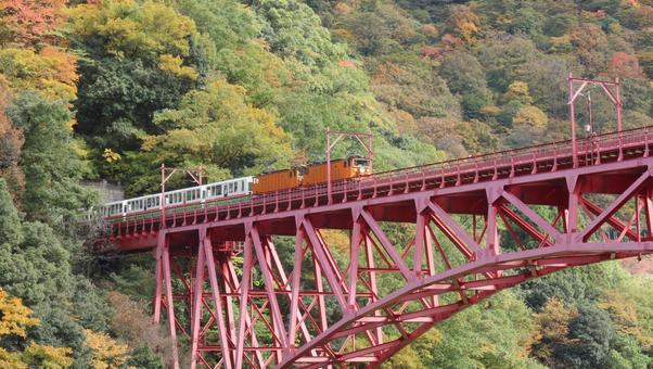 黒部峡谷に秋を訪ねて 山,秋,風景の写真素材