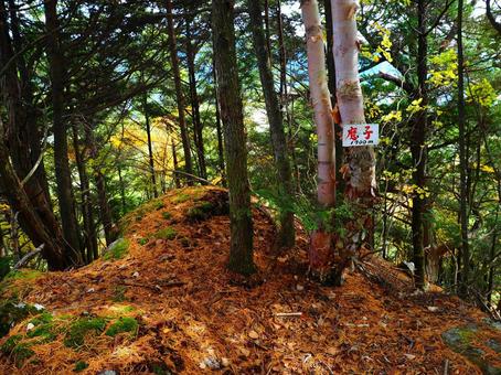 魔子の山山頂の写真