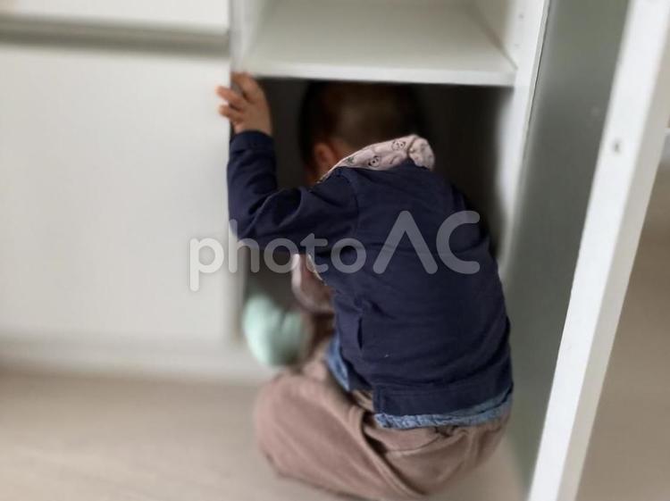 食器棚の中に入り込む小さな男の子 男の子,遊ぶ,幼児の写真素材