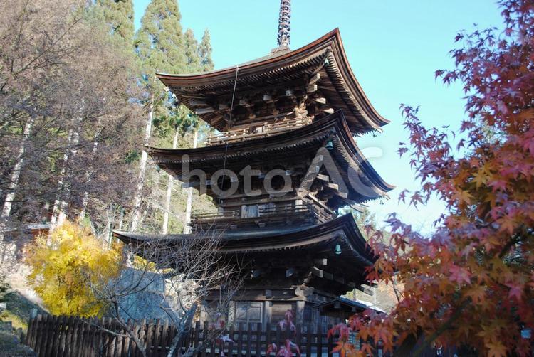佐久市新海三社神社の紅葉 佐久市,田口,新海三社神社の写真素材