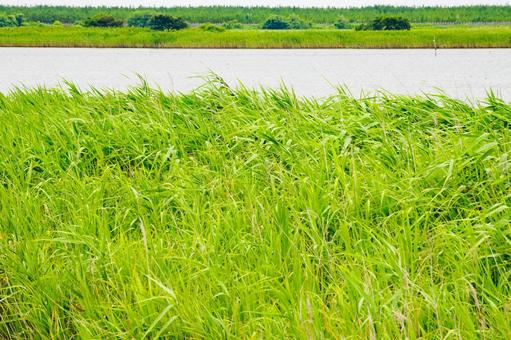 沿岸部の風景(40) 沿岸部の風景(40)の写真