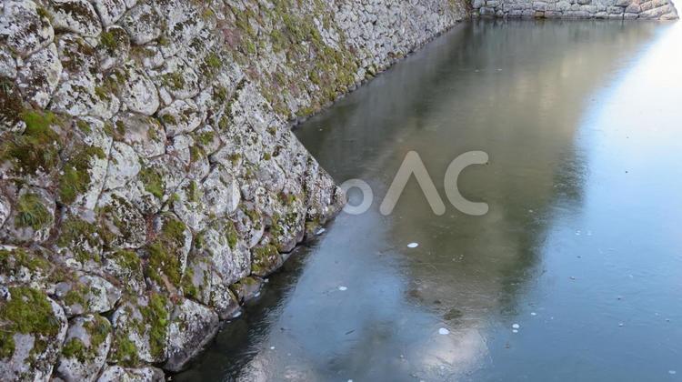 高島城　結氷した水堀に映る天守閣 高島城,諏訪高島城,諏訪の浮城の写真素材