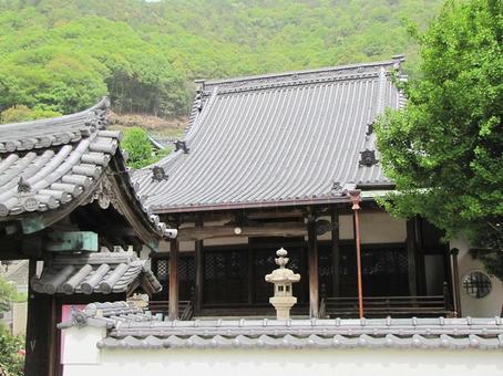 【風景写真】専福寺(広島県三原市)の風景 【風景写真】専福寺(広島県三原市)の風景 専福寺,浄土真宗,寺社仏閣の写真素材