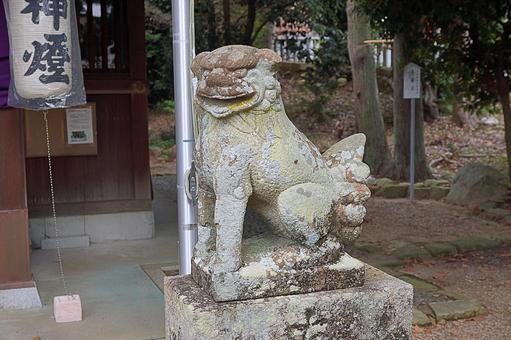 パワースポット　市杵島姫神社⑧　狛犬阿形 兵庫県宝塚市,市杵島姫神社,弁財天の写真素材