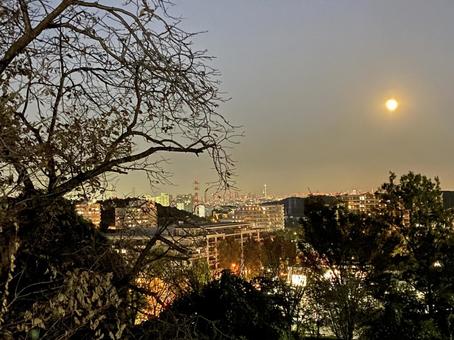 月明かりの写真