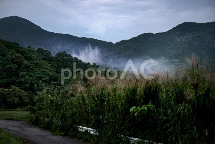 ＜五島の風景＞霧の森と山並みの山道 霧,山道,農道の写真素材