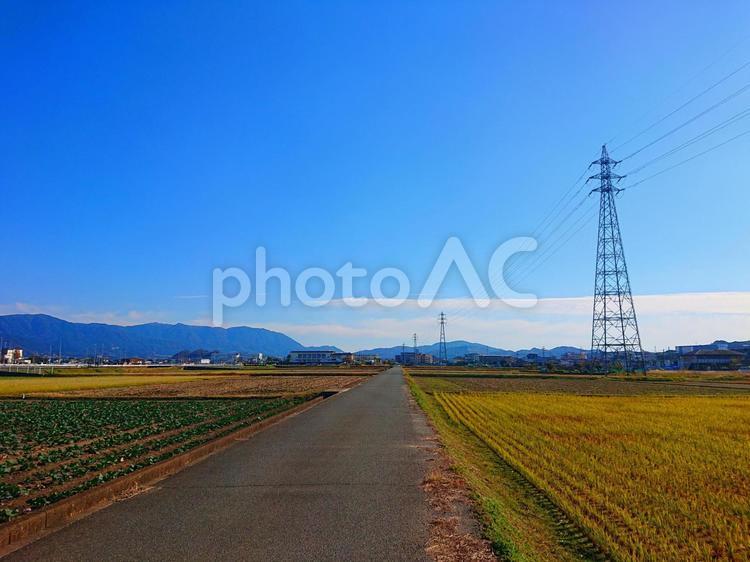 田んぼと鉄塔 田んぼ,鉄塔,町並みの写真素材