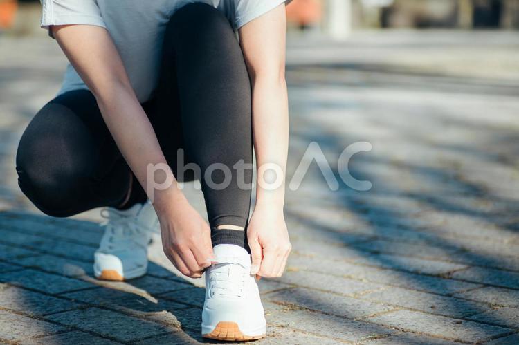 スニーカーの靴紐を結ぶ女性 スニーカー,有酸素運動,運動靴の写真素材