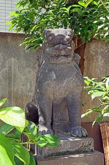 Photo, suehiro shrine, uganomitama no mikoto (japanese deity, grandson of amaterasu), bishamonten, 