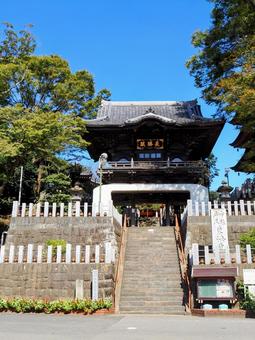 秋の布施弁天・楼門&森の木々・千葉県柏市 秋,紅龍山,布施弁天の写真素材