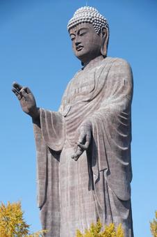 秋晴れと牛久大仏（高画質） 牛久大仏,牛久,茨城県の写真素材