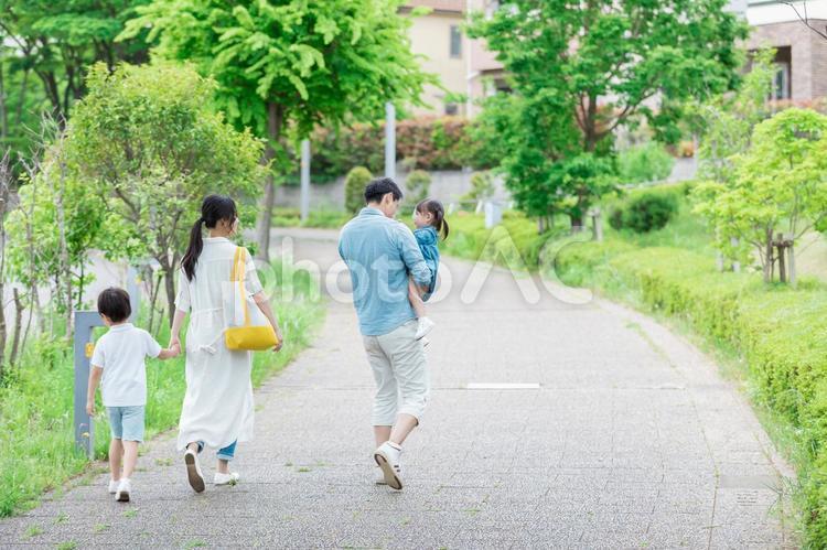 新緑の中を散歩する親子 人物,家族,女性の写真素材
