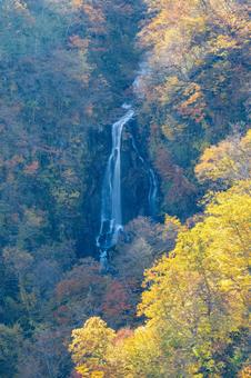 蔵王の紅葉(37)の写真