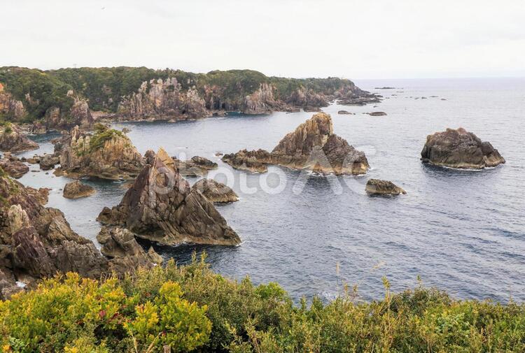海金剛 海金剛,水域,海の写真素材