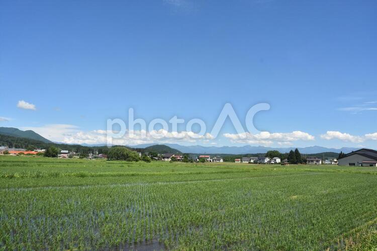 夏の田園風景 田舎の風景 田園風景,避暑地,長野の写真素材