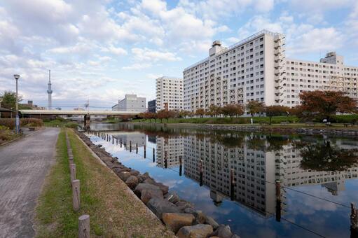 旧中川　河川敷　2025年 旧中川,河川敷,東京の写真素材