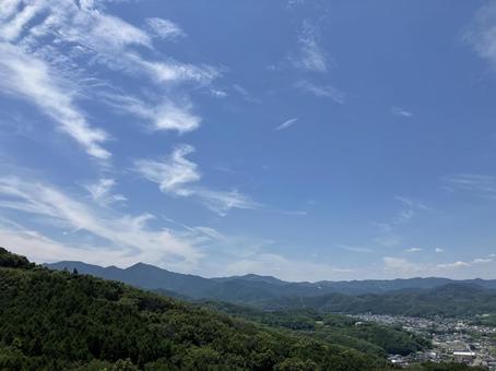 Photo, sunny, the trees, sky, 