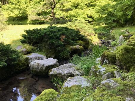 川を渡る飛び石の橋 川を渡る飛び石の橋 森,森林,自然の写真素材
