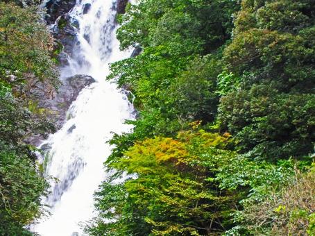 島根県-岩瀧寺の滝-近景の写真