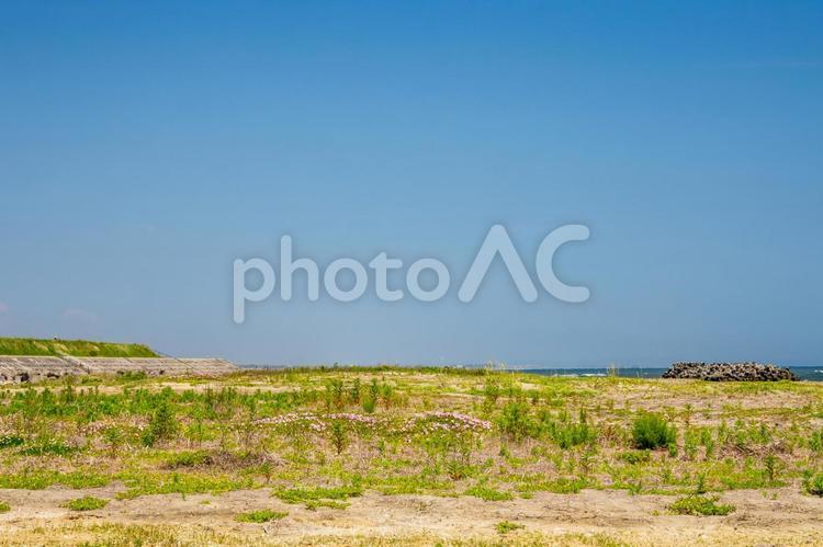 浜辺の風景⒀ 海,波,砂浜の写真素材