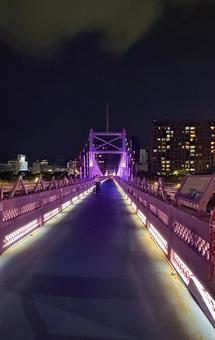 夜に光る紫の橋 夜景,橋,紫の写真素材