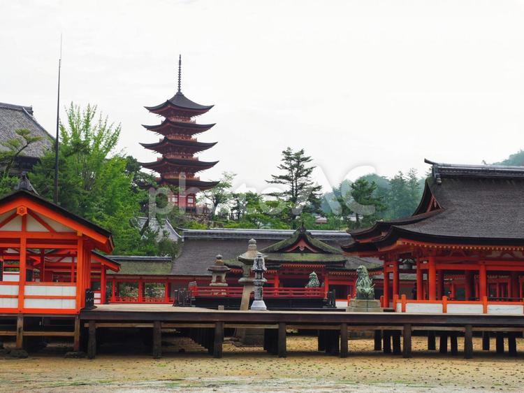 厳島神社と五重塔 厳島神社,厳島弁財天,宮島の写真素材