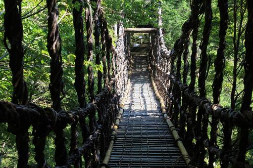 Photo, suspension bridge, green, natural, 