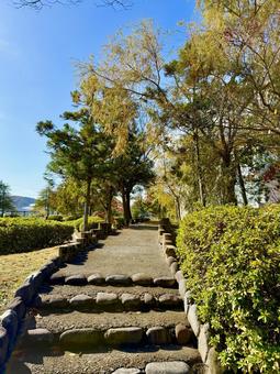 福井少年運動公園　秋の丘の景色 福井少年運動公園,グラウンド,道の写真素材