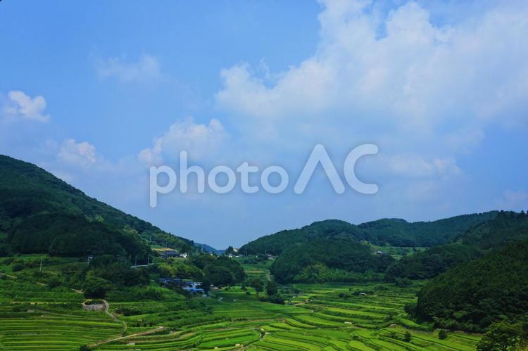棚田と空と 耕作地,風景,田舎の写真素材