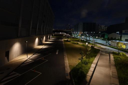 東京アクアティクスセンター　夜景 東京アクアティクスセンター,夜,アクアティクスセンターの写真素材