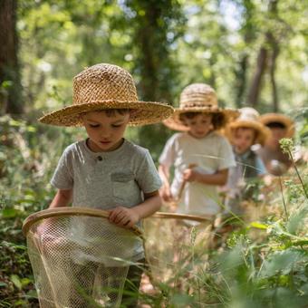 夏の森で虫取りを楽しむ子供たち 夏の森で虫取りを楽しむ子供たちの写真