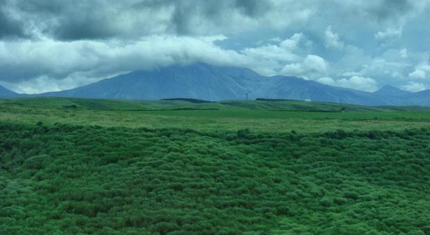 草原ボケ背景-34 草原ボケ背景-34の写真