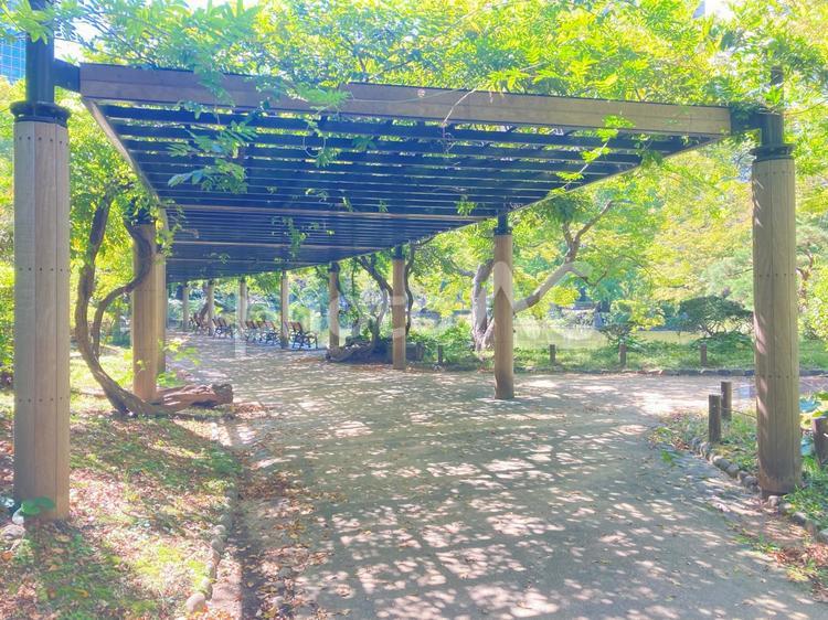 緑のきれいな木陰のベンチ 自然,風景,庭の写真素材