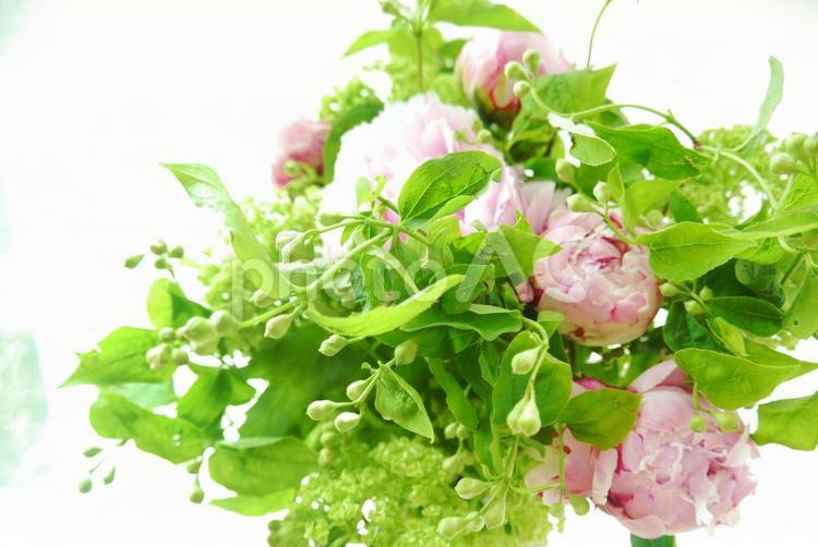 ピンクの芍薬、ビバーナムのイメージ 芍薬,ピオニー,ビバーナムの写真素材