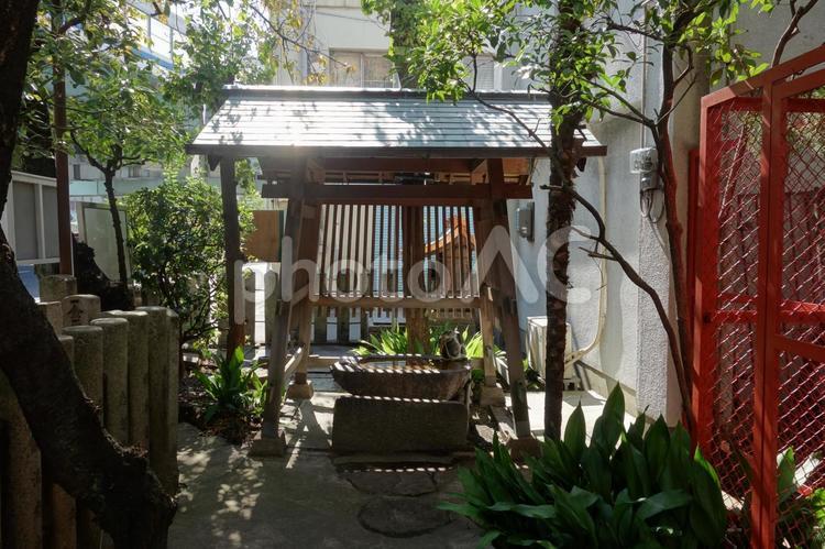 西出鎮守稲荷神社 西出鎮守稲荷神社,チヂミ神社,稲荷神社の写真素材