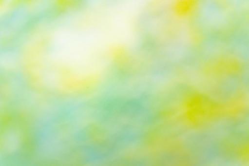 柔らかなグリーンとイエローのぼかし背景 背景,グラデーション,ぼかしの写真素材