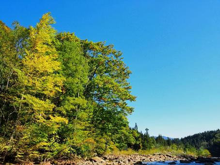 秋の景色２ 秋,川,河原の写真素材