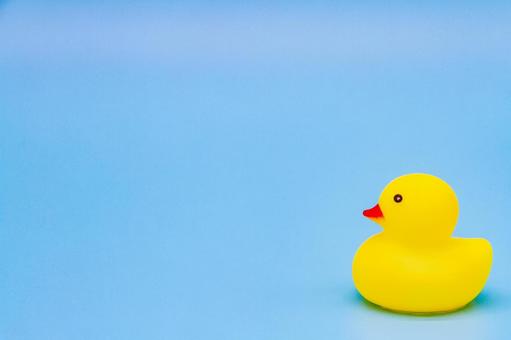 水色背景にアヒルの人形 水色背景にアヒルの人形 アヒル,かわいい,鳥の写真素材