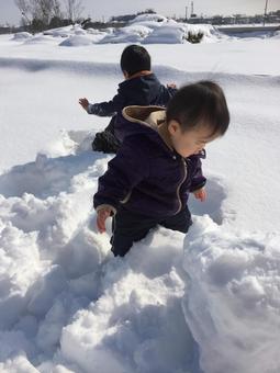 沢山の雪と遊ぶ子供達 雪,雪遊び,子供の写真素材