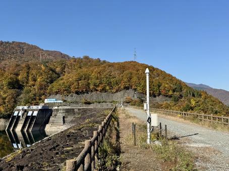秋の福井県の九頭竜ダム　紅葉に色づく湖 秋,道路,晩秋の写真素材