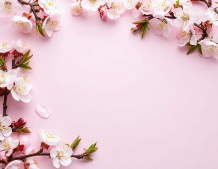 桜のフレーム 桜のフレームの写真