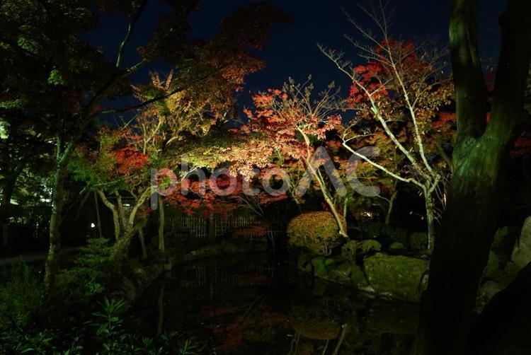 紅葉【清水寺】 アクション,エネルギー,シルエットで映すの写真素材