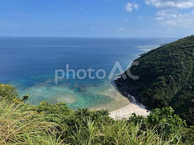 南の島の海岸線と地平線 海,旅,風景の写真素材