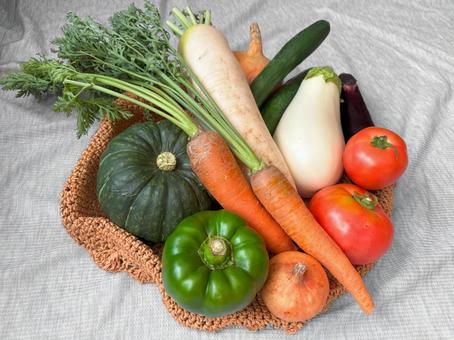 いろんな野菜セット いろんな野菜セット 新鮮野菜,野菜,緑黄色野菜の写真素材
