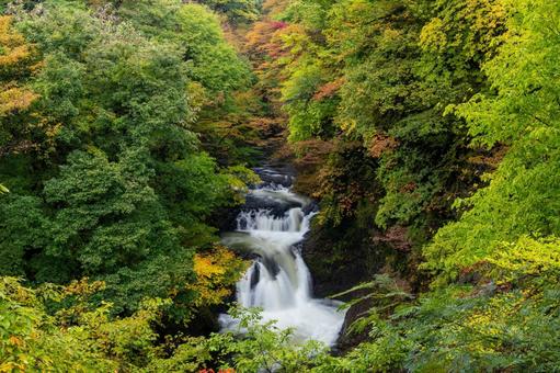 秋の鳳鳴四十八滝⑴ 滝,鳳鳴四十八滝,秋の写真素材