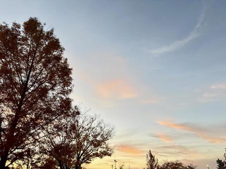 晴れの日の夕暮れ 夕焼け,空,グラデーションの写真素材