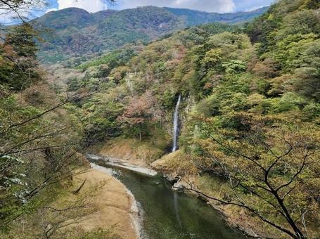 自然と滝 自然と滝 緑,自然,快晴の写真素材